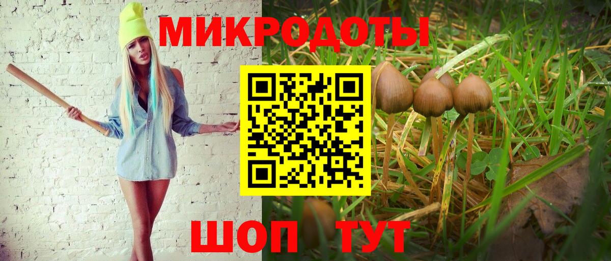 Псилоцибиновые грибы Psilocybine cubensis  Вход с VPN  Острогожск  Псилоцибиновые грибы MAGIC MUSHROOMS 